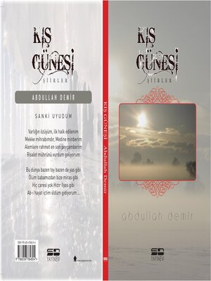 cover image of Kış Güneşi Şiirler
